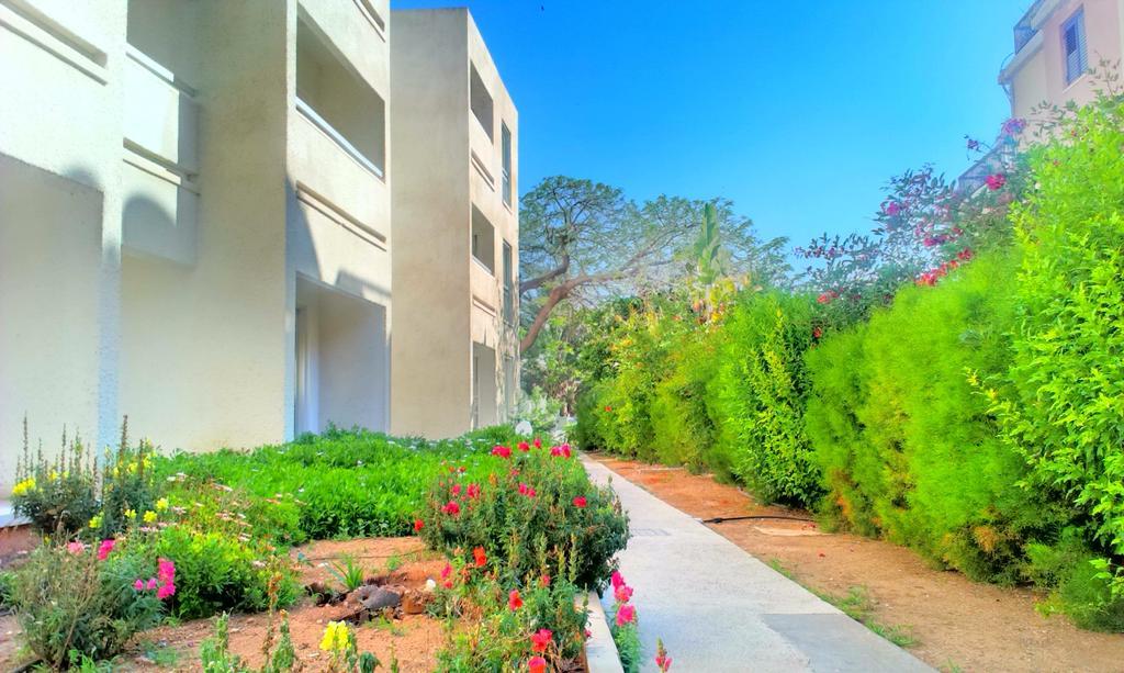 Daphne Hotel Apartments (Adults Only) Paphos Exterior foto